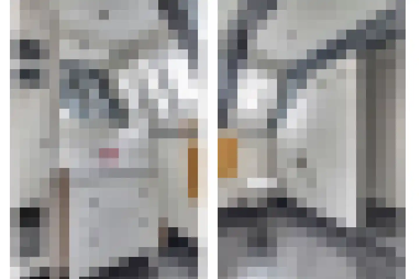 Hoogstraat 10 Harlingen thumbnail 33