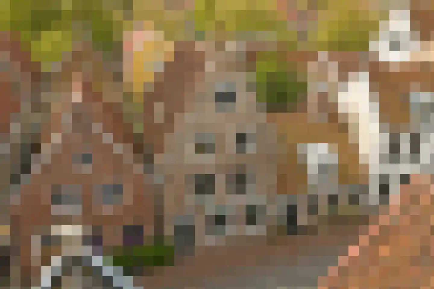 Hoogstraat 10 Harlingen thumbnail 38