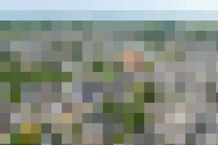Hoogstraat 100 Landgraaf thumbnail 25