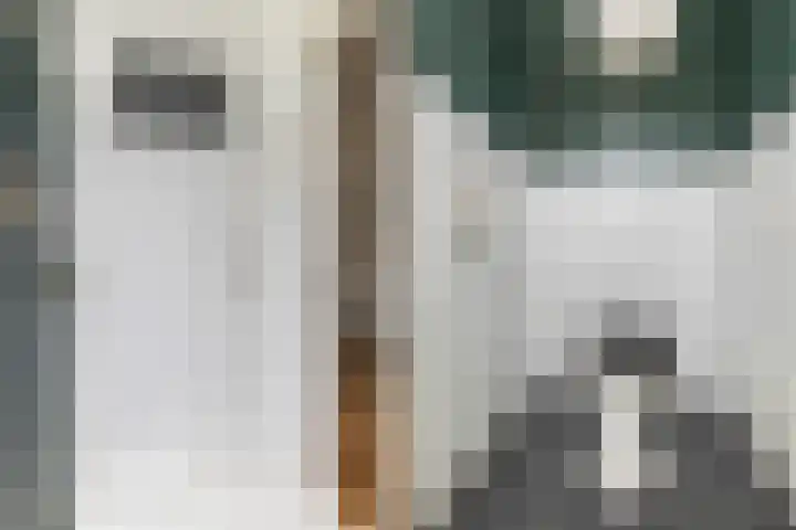 Hoogstraat 103 Zwolle thumbnail 5
