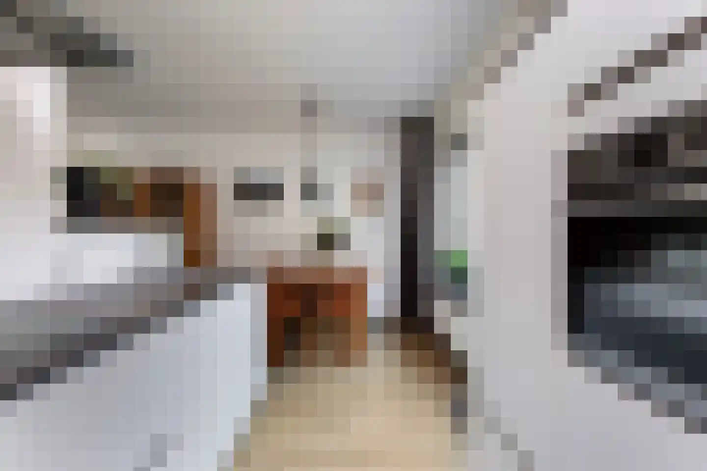 Hoogstraat 106 Wijk bij Duurstede thumbnail 17