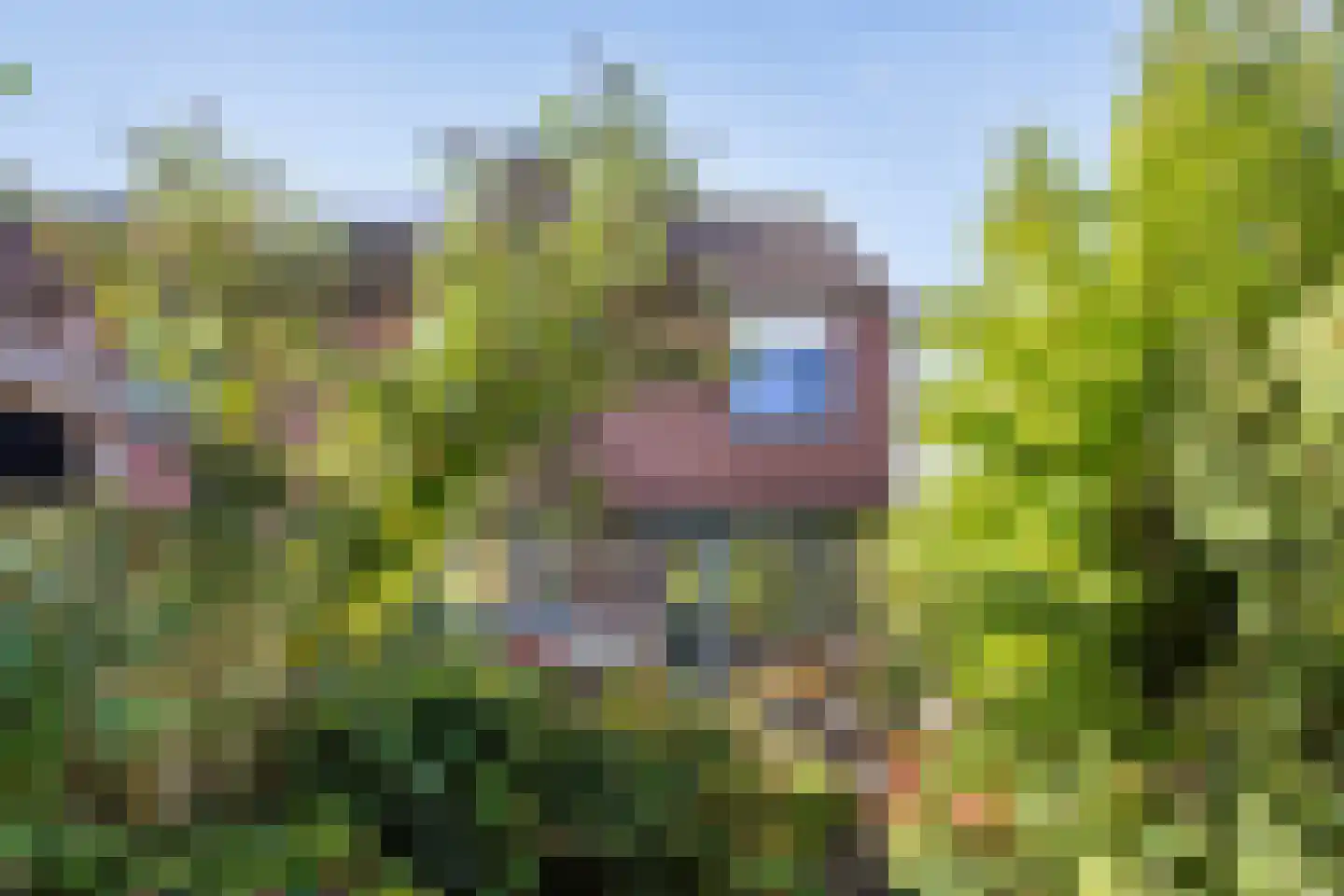 Hoogstraat 106 Wijk bij Duurstede thumbnail 26