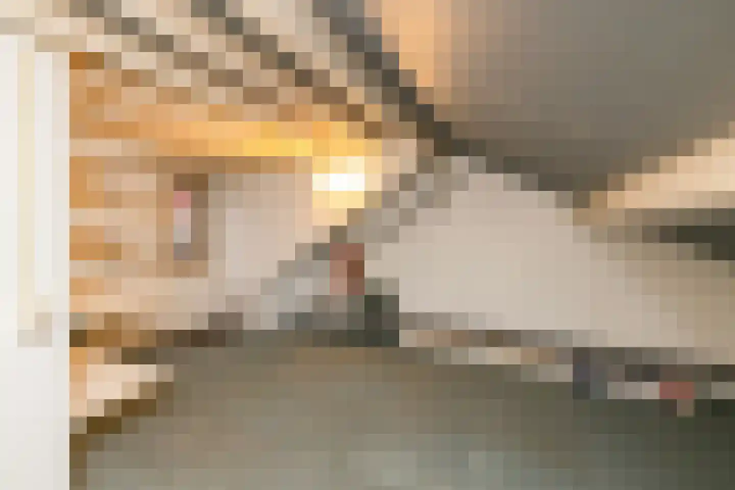 Hoogstraat 108 a Haastrecht thumbnail 37