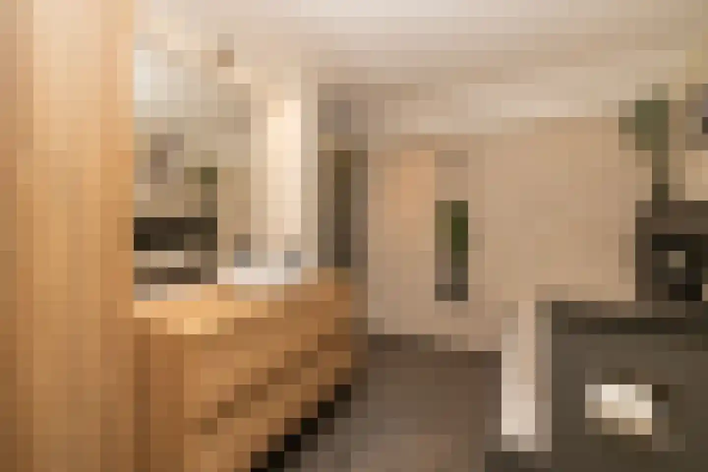 Hoogstraat 108 a Haastrecht thumbnail 4