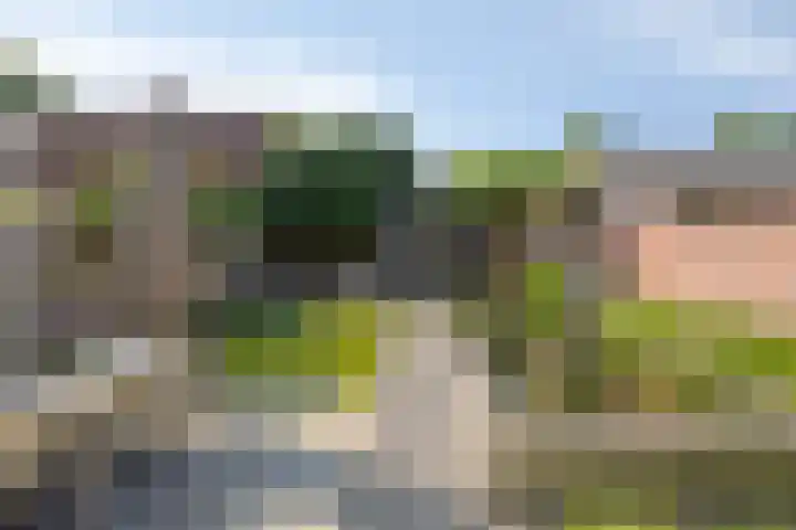 Hoogstraat 109 Oisterwijk thumbnail 21