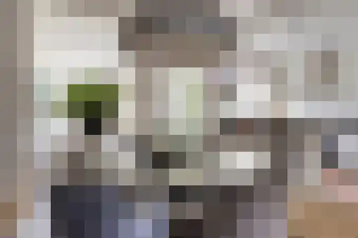 Hoogstraat 109 Oisterwijk thumbnail 5