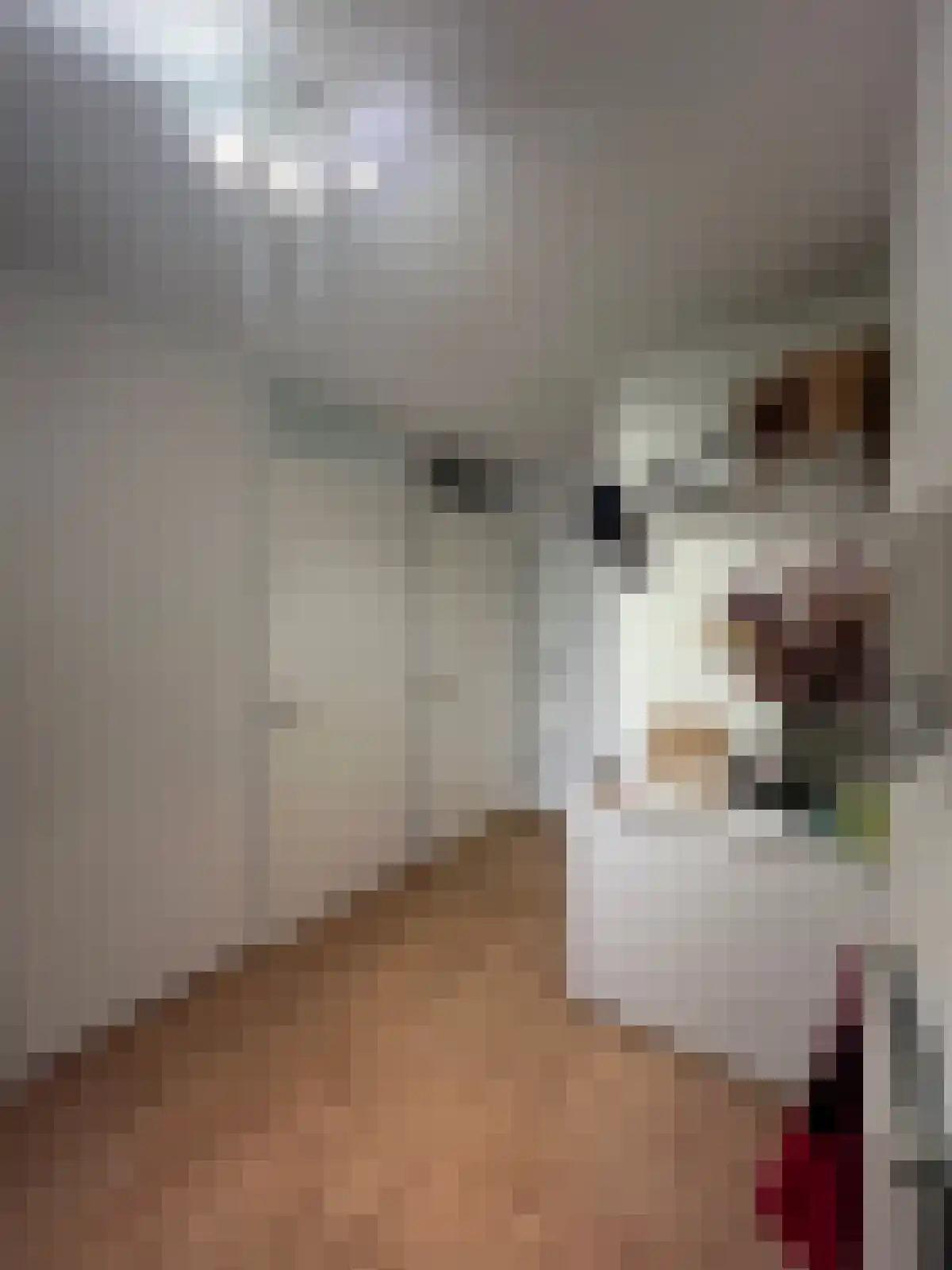 Hoogstraat 109 W Rotterdam thumbnail 4