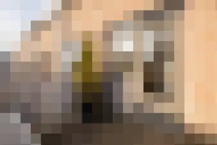 Hoogstraat 110 f Haastrecht thumbnail 34
