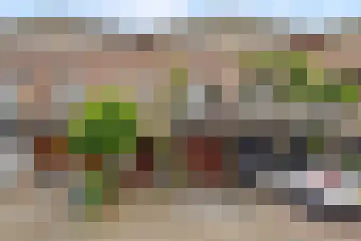 Hoogstraat 110 g Haastrecht thumbnail 5