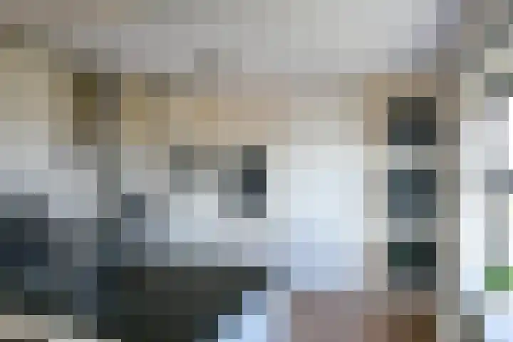 Hoogstraat 113 F Rotterdam thumbnail 11