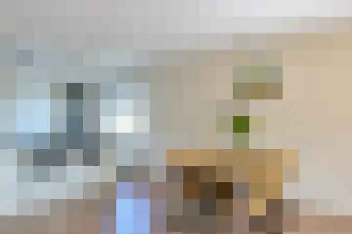 Hoogstraat 113 F Rotterdam thumbnail 21