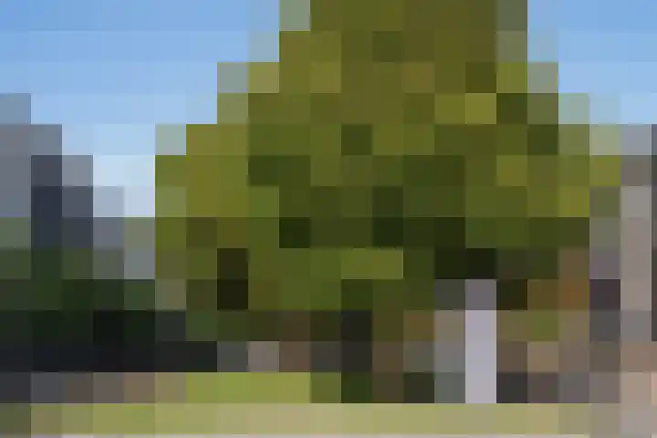 Hoogstraat 113 F Rotterdam thumbnail 34