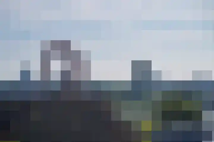 Hoogstraat 113 F Rotterdam thumbnail 6
