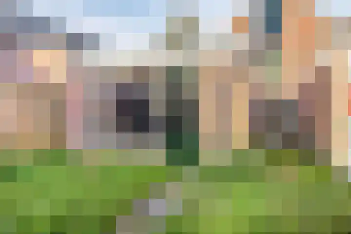 Hoogstraat 116 Den Helder thumbnail 24