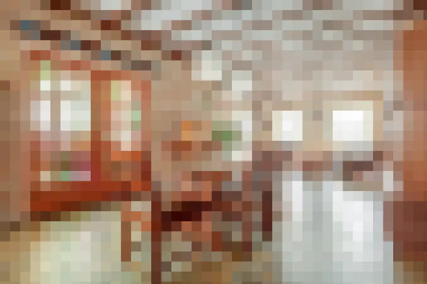 Hoogstraat 116 Oisterwijk thumbnail 11