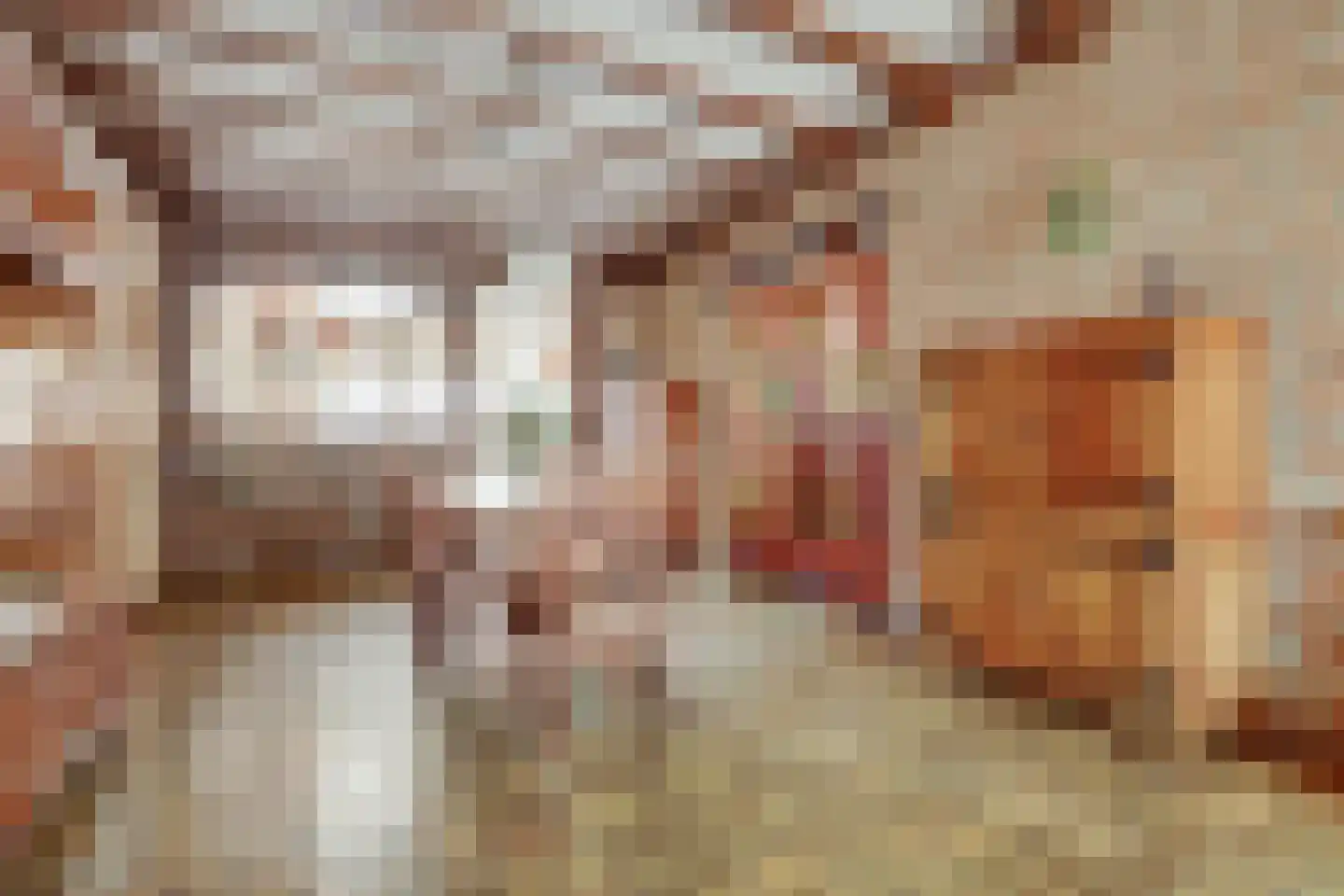 Hoogstraat 116 Oisterwijk thumbnail 12