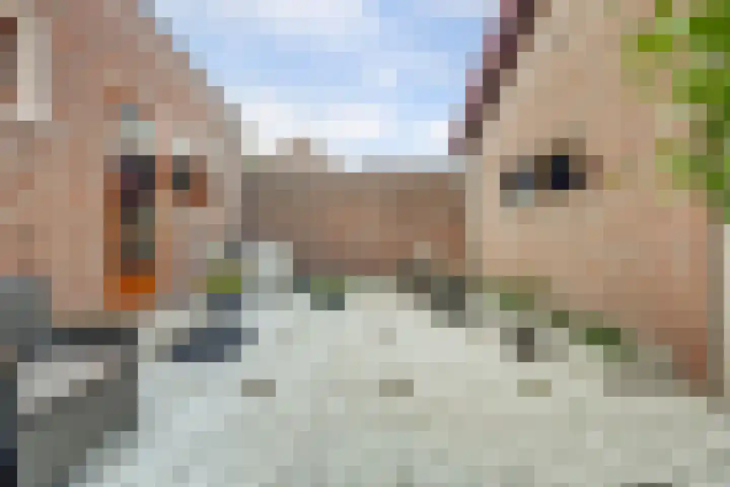 Hoogstraat 116 Oisterwijk thumbnail 32