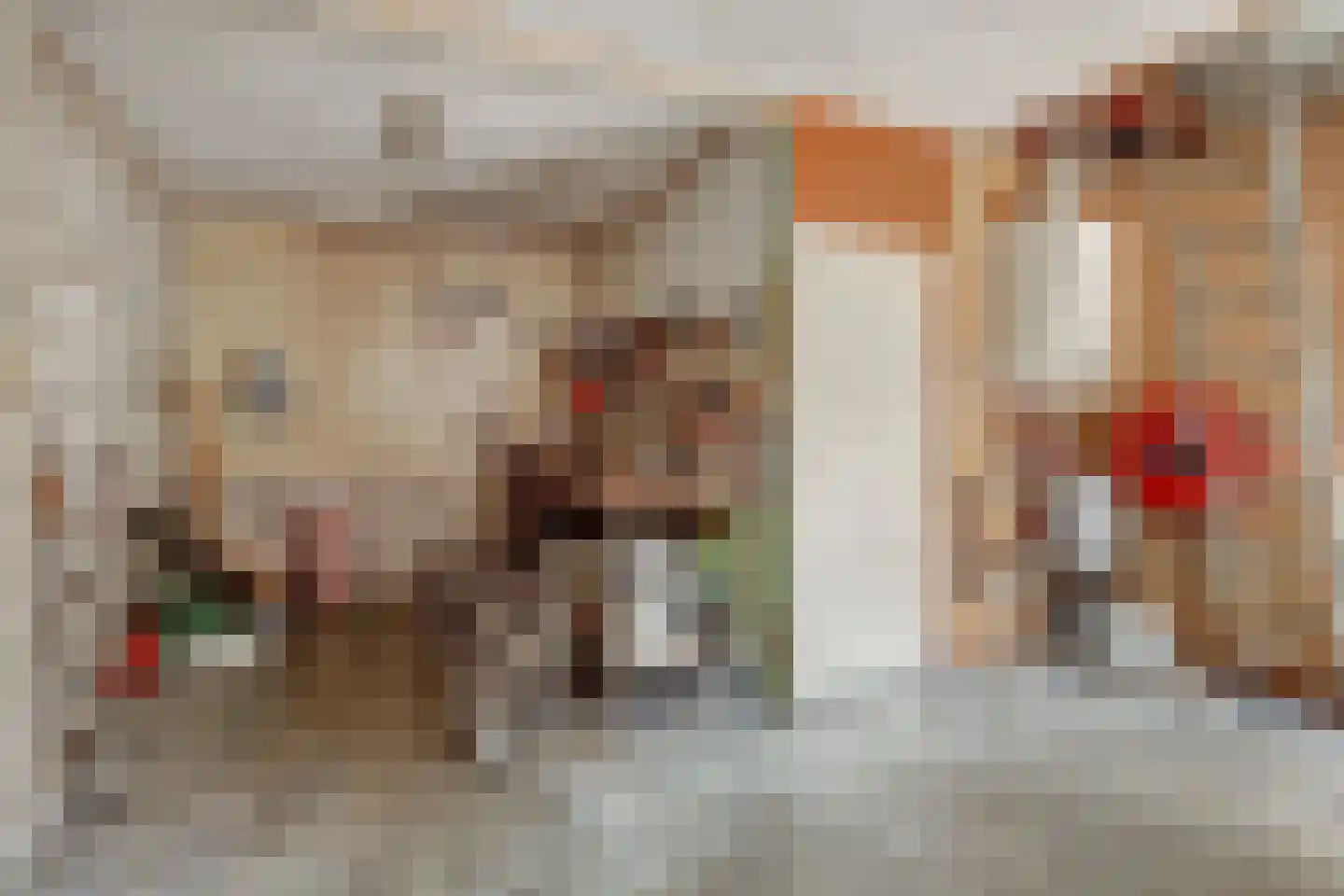 Hoogstraat 116 Oisterwijk thumbnail 34