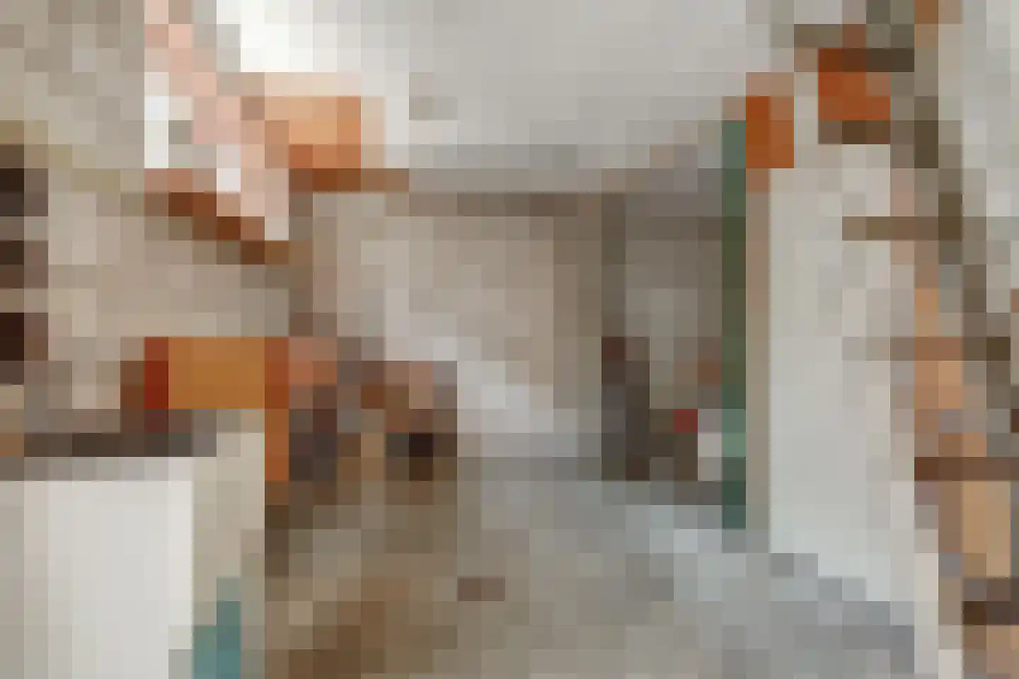 Hoogstraat 116 Oisterwijk thumbnail 35