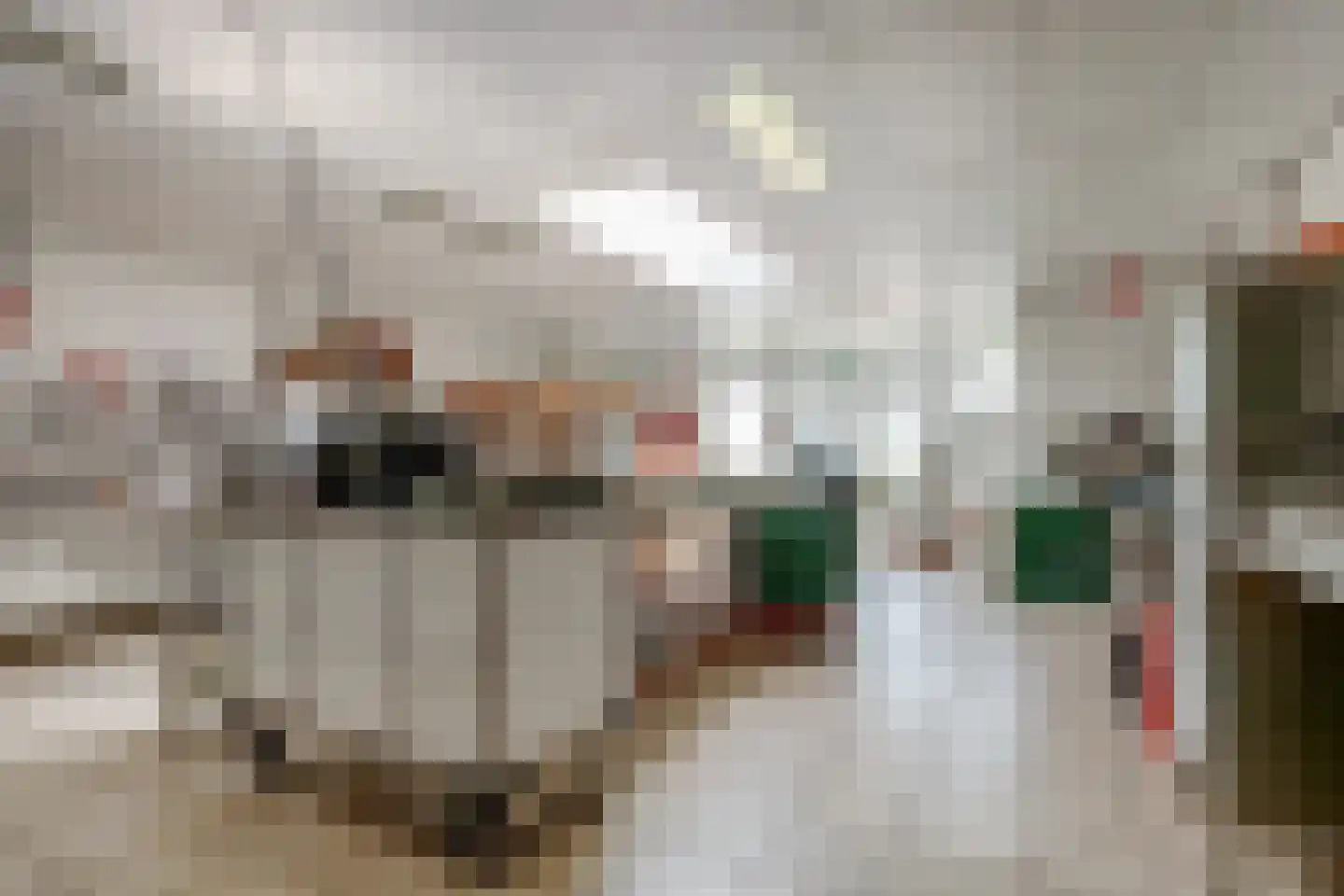 Hoogstraat 116 Oisterwijk thumbnail 45