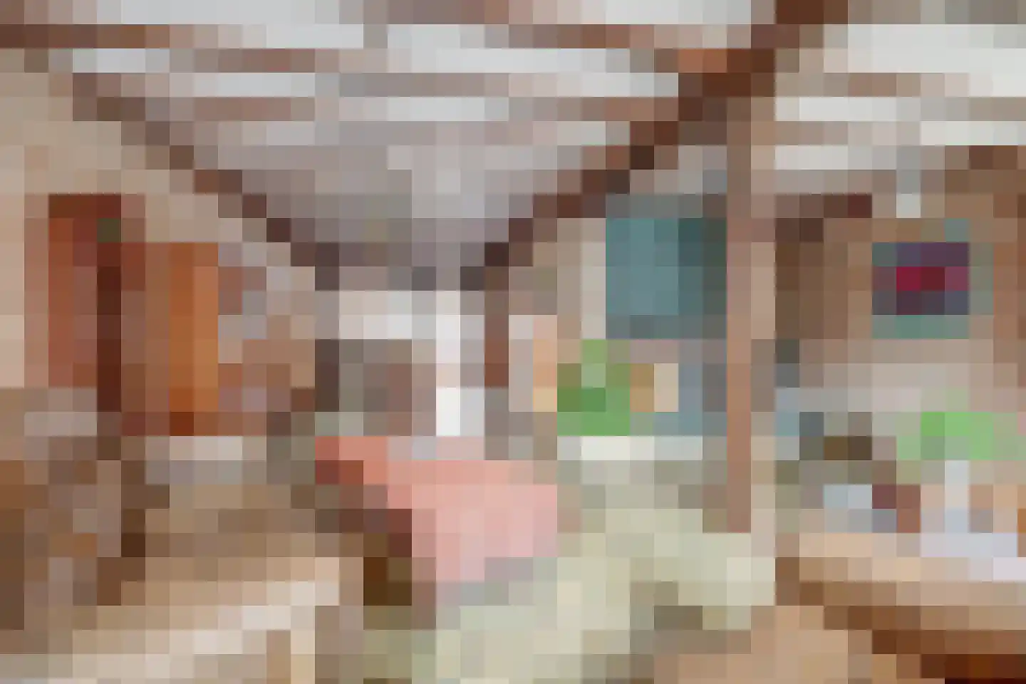 Hoogstraat 116 Oisterwijk thumbnail 9