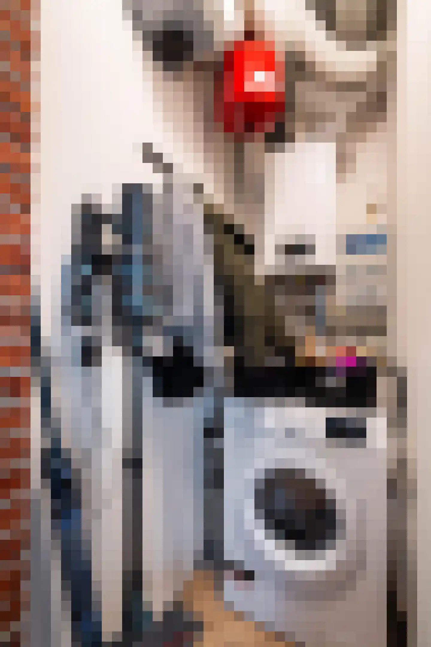 Hoogstraat 12 A Weert thumbnail 20