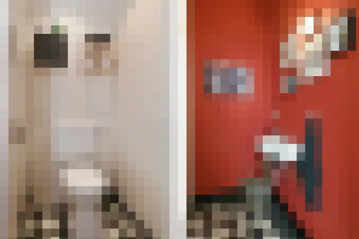 Hoogstraat 12 Ell thumbnail 21