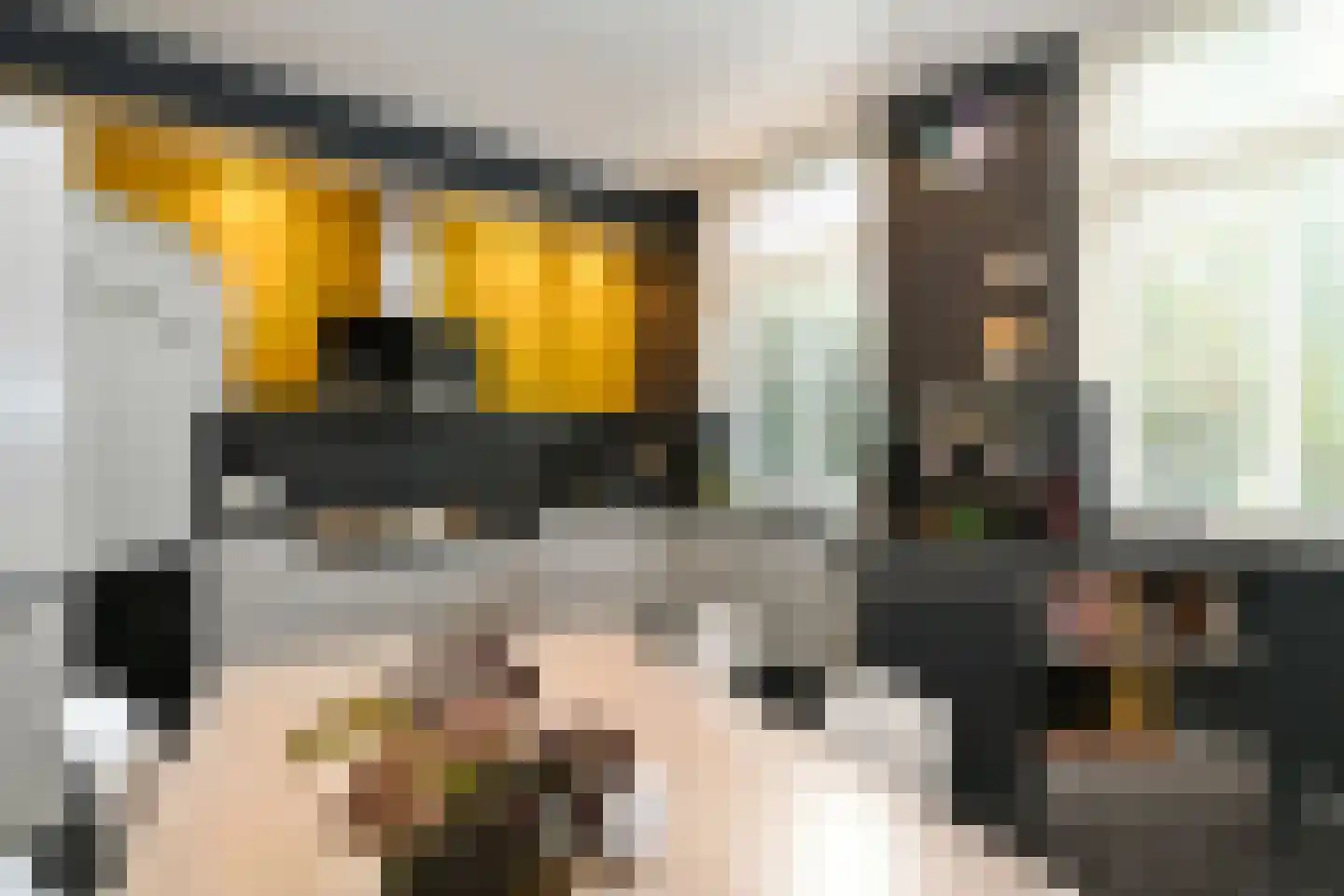 Hoogstraat 12 Ell thumbnail 24
