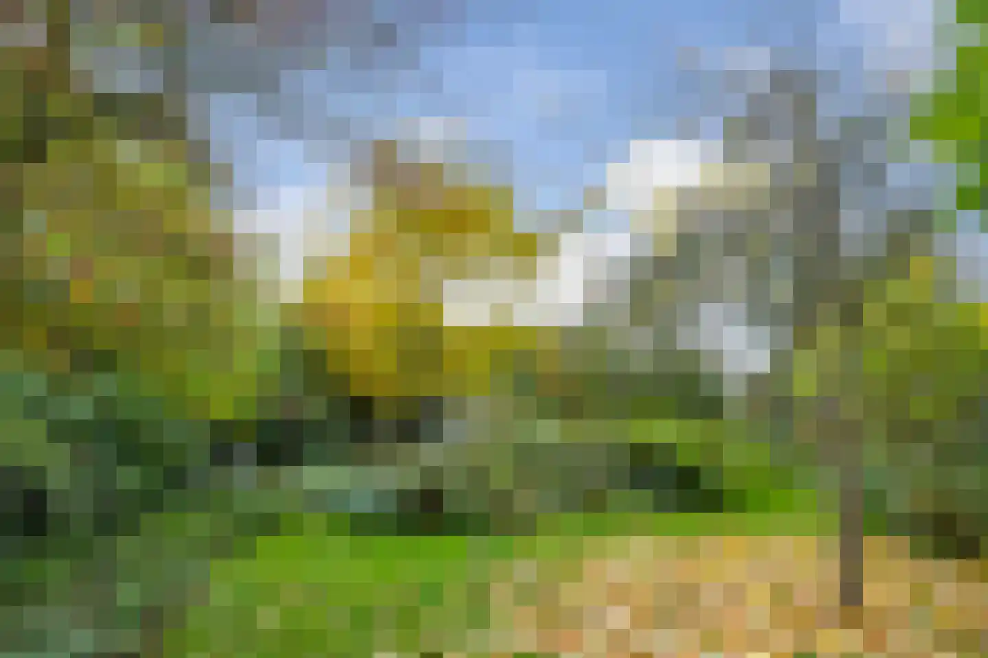 Hoogstraat 12 Ell thumbnail 56