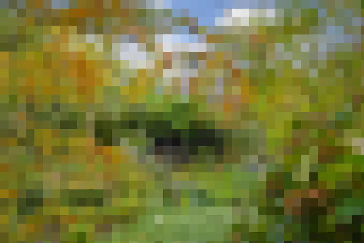 Hoogstraat 12 Ell thumbnail 57