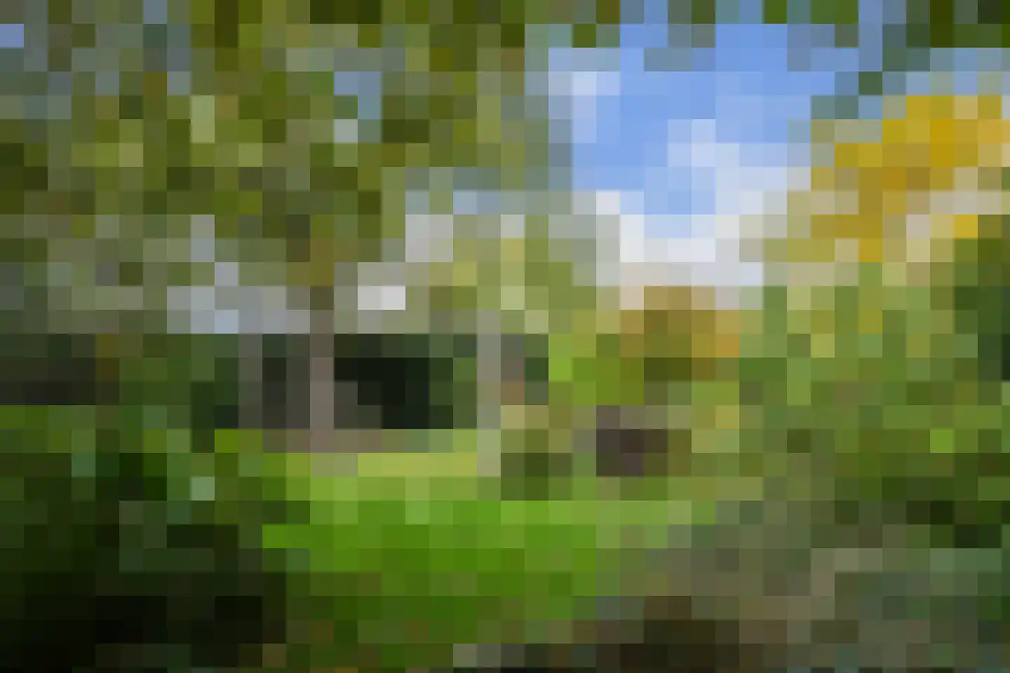 Hoogstraat 12 Ell thumbnail 59