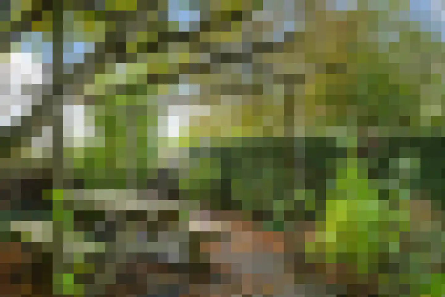 Hoogstraat 12 Ell thumbnail 61