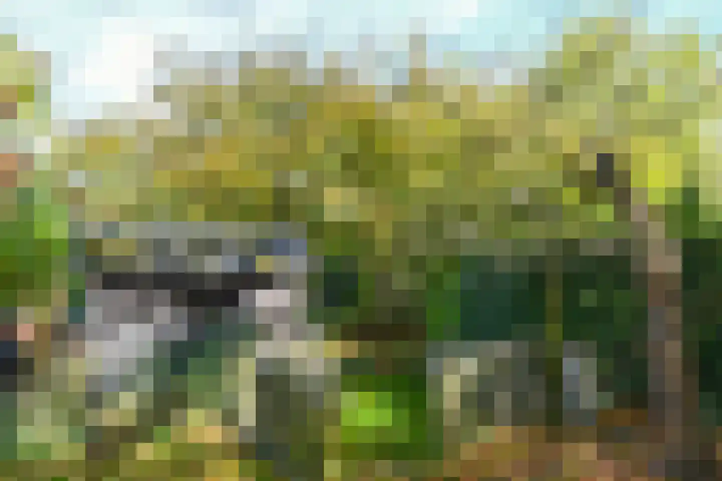 Hoogstraat 12 Ell thumbnail 62