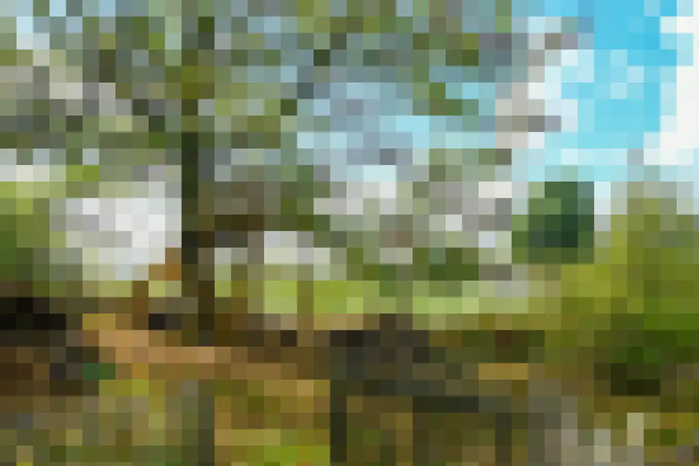 Hoogstraat 12 Ell thumbnail 63