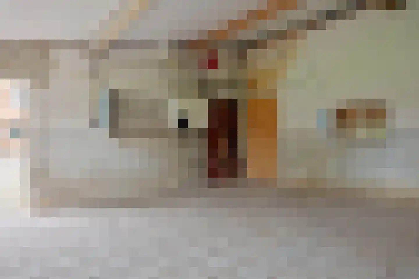 Hoogstraat 12 Hooge Mierde thumbnail 37