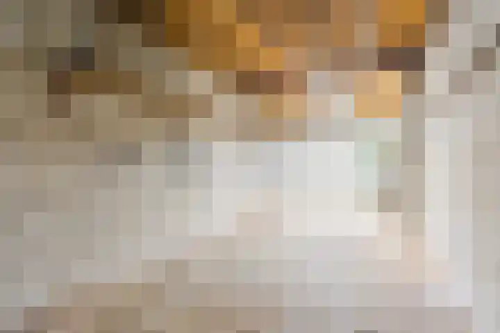 Hoogstraat 120 Goirle thumbnail 30