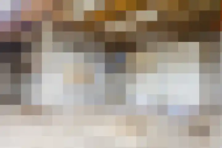Hoogstraat 120 Goirle thumbnail 33