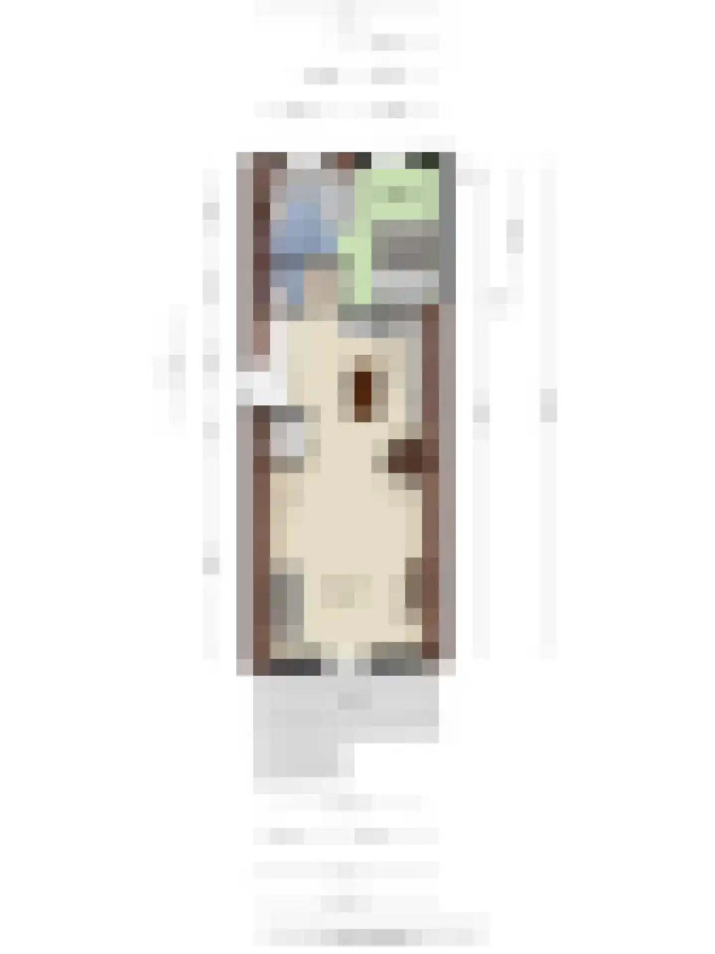 Hoogstraat 13 B 2 Schiedam thumbnail 37