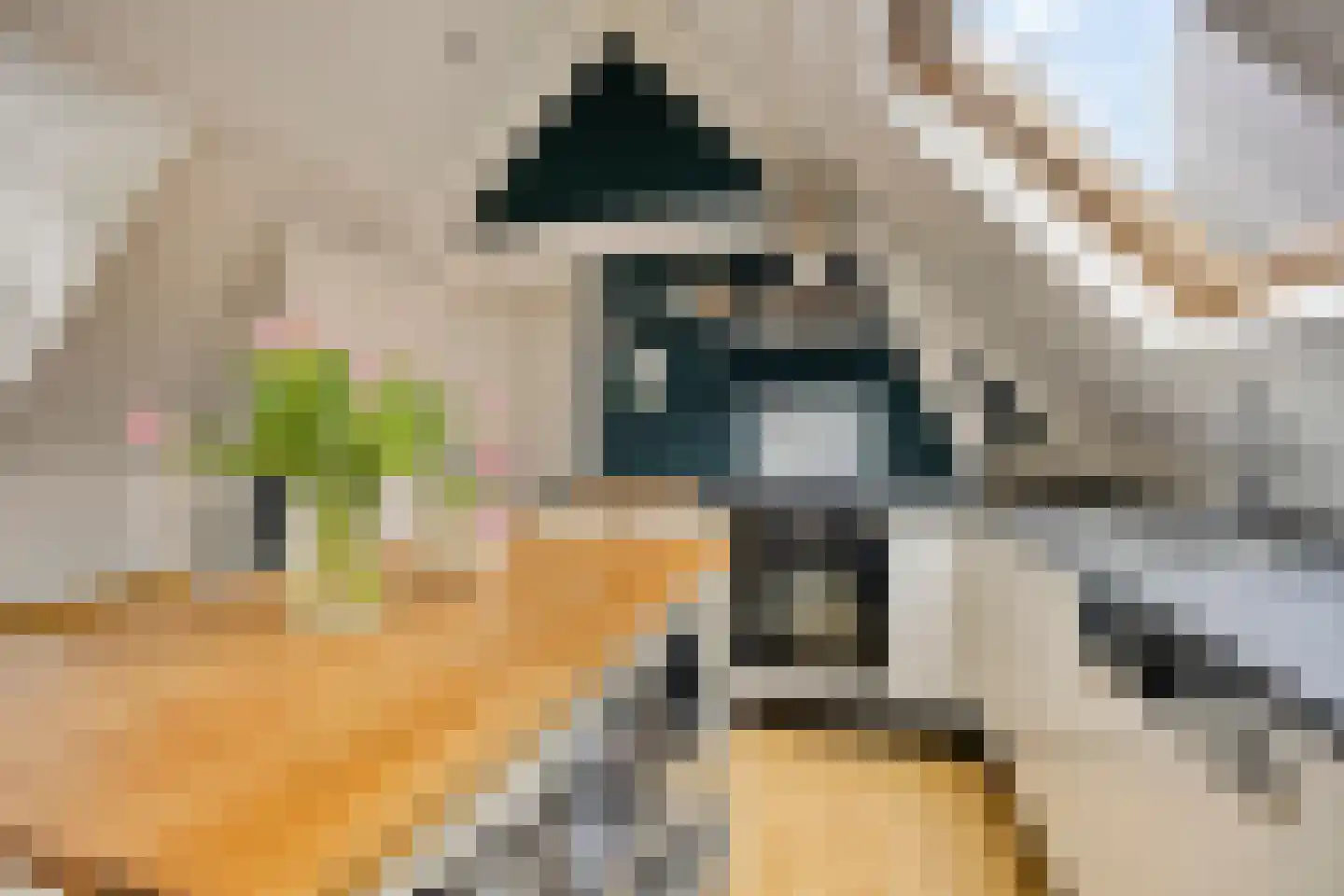 Hoogstraat 13 B 2 Schiedam thumbnail 9