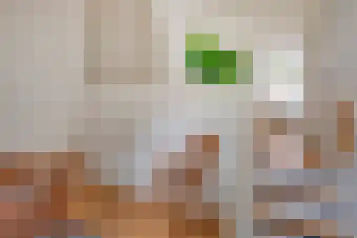 Hoogstraat 13 Heusden thumbnail 38