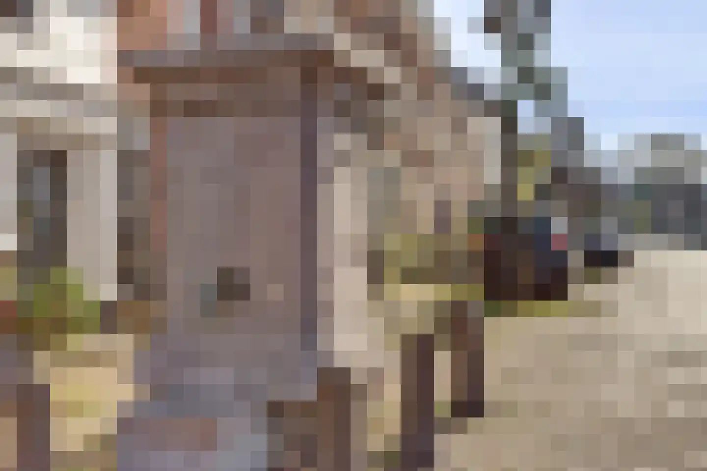 Hoogstraat 13 Woudrichem thumbnail 37