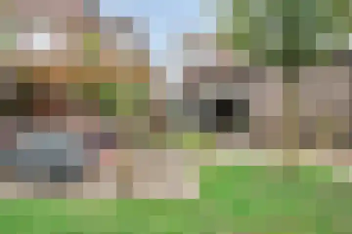Hoogstraat 130 Berlicum thumbnail 32