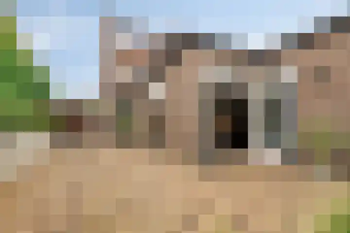 Hoogstraat 130 Berlicum thumbnail 33