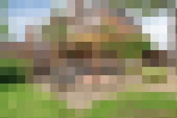 Hoogstraat 130 Berlicum thumbnail 35