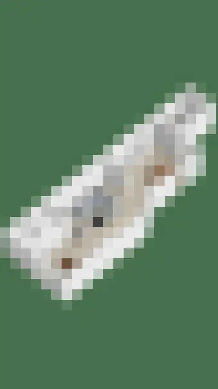 Hoogstraat 130 Berlicum thumbnail 49