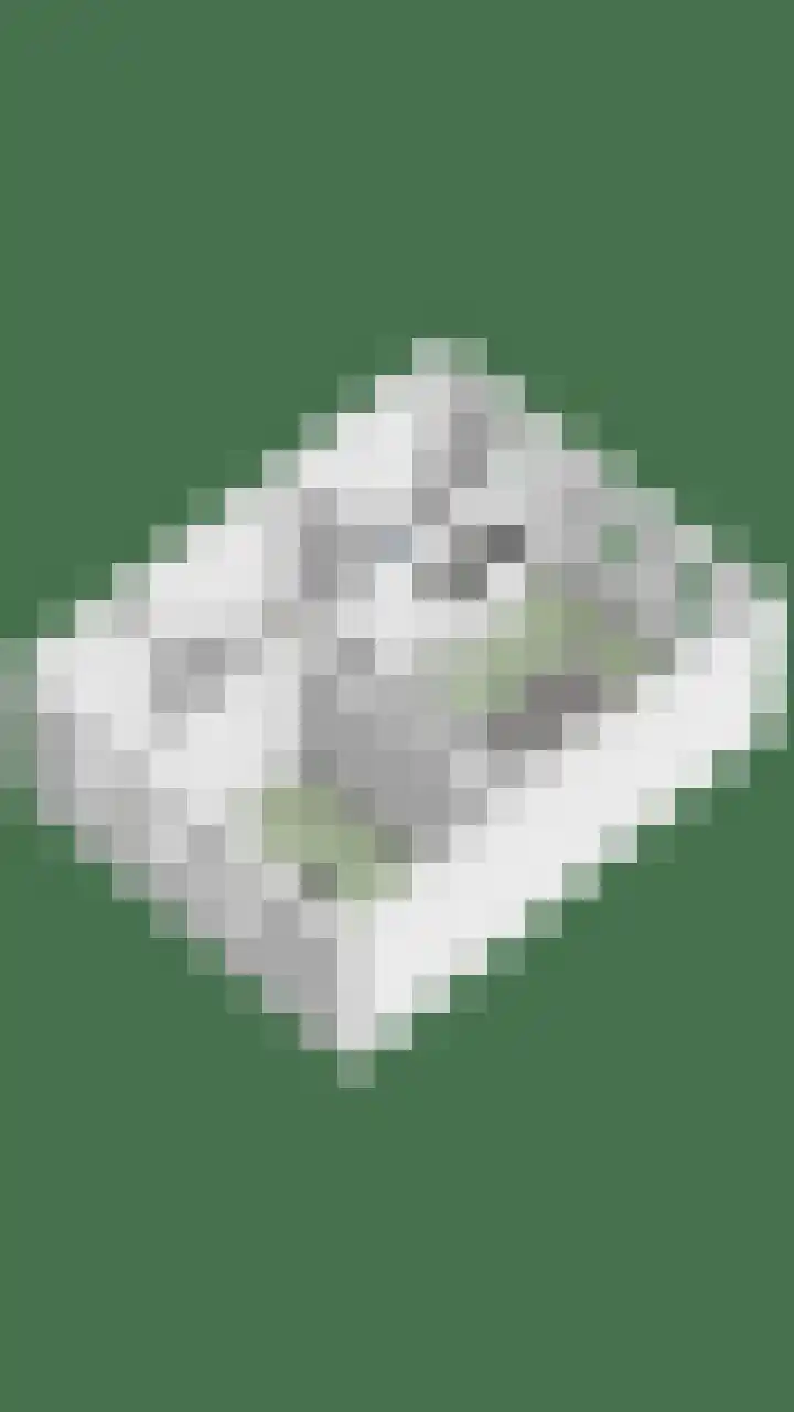 Hoogstraat 130 Berlicum thumbnail 51