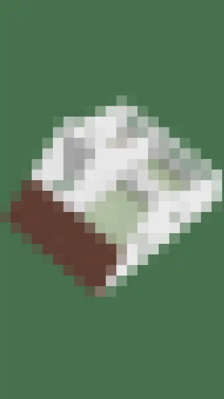 Hoogstraat 130 Berlicum thumbnail 52