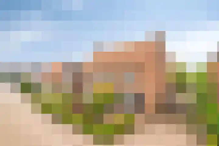 Hoogstraat 130 Berlicum thumbnail 55