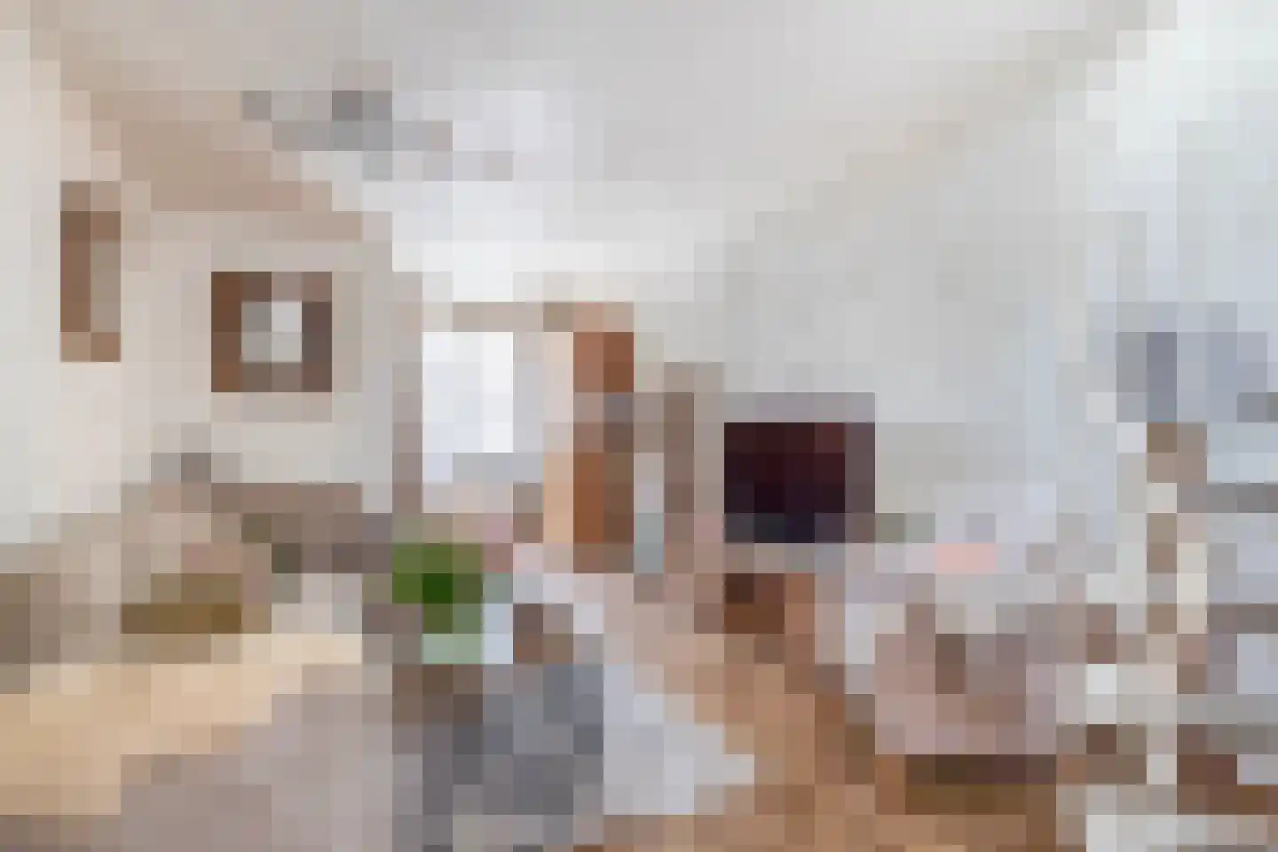 Hoogstraat 138 Eindhoven thumbnail 16