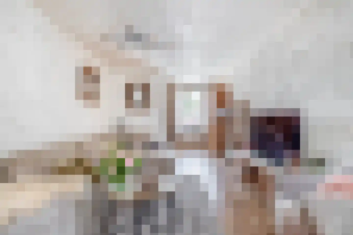 Hoogstraat 138 Eindhoven thumbnail 17